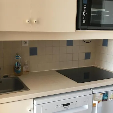 Duplex Climatise Avec Terrasse A Hyeres, Mer, Parking - Fr-1-335-150